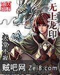 无上龙印封面