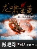 龙啸玄黄封面
