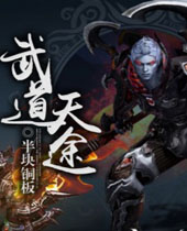 武道天途封面