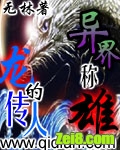 龙的传人异界称雄封面