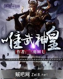 唯武神皇封面