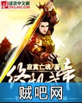 终极武帝封面
