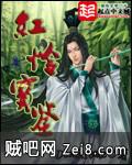 红怜宝鉴封面