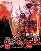 兽魂无双封面