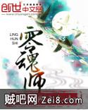零魂师封面