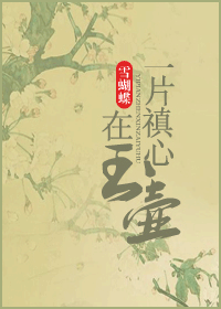 一片禛心在玉壶封面