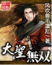 大圣无双封面