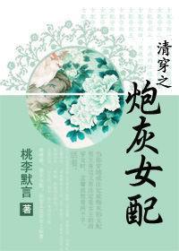 清穿之炮灰女配封面