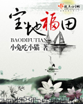 宝地福田封面
