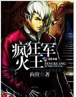 疯狂军火王封面