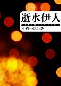 逝水伊人封面