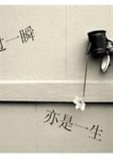 错过一瞬,亦是一生封面