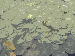 ����������������ĸ����������