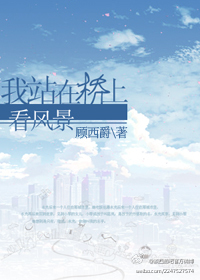 我站在桥上看风景完整版封面