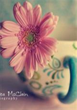 ��Ѫ���ٵ�а��ק����