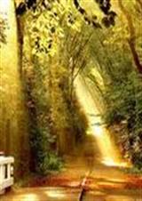 ��һ�������ʮ�ּ�