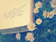 �మû��ô����