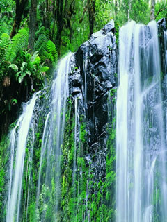 Ц̸�������