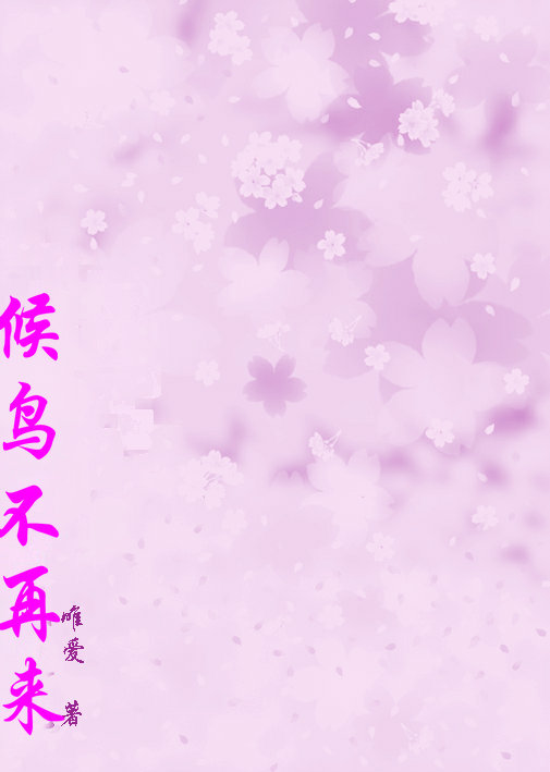 候鸟不再来封面