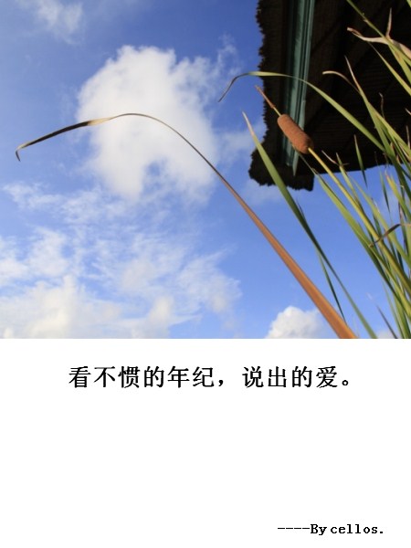 �����ߵ����,˵���İ�.