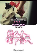 两个人的下雪天封面