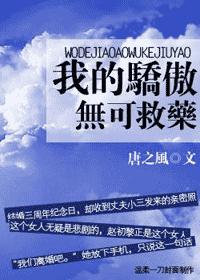 我的骄傲无可救药封面