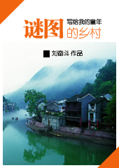 谜图的乡村封面