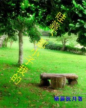 �ۿ�����С���ҵ�