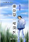 ���Ӳ�һ���賤