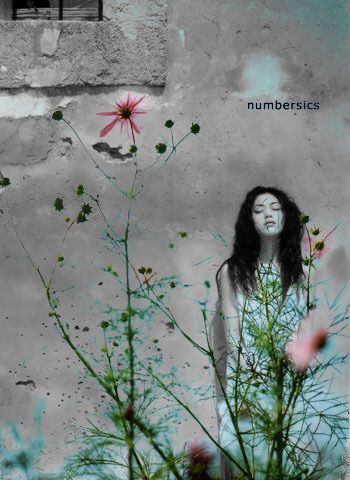 У԰����:�����