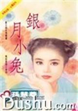 银月小兔封面