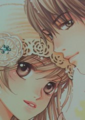 ������������ӵ���