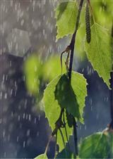 ��֮ʮ��,��֮һ������