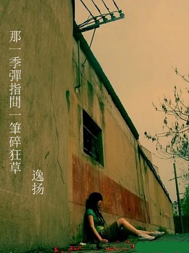 那一季弹指间一笔碎狂草封面