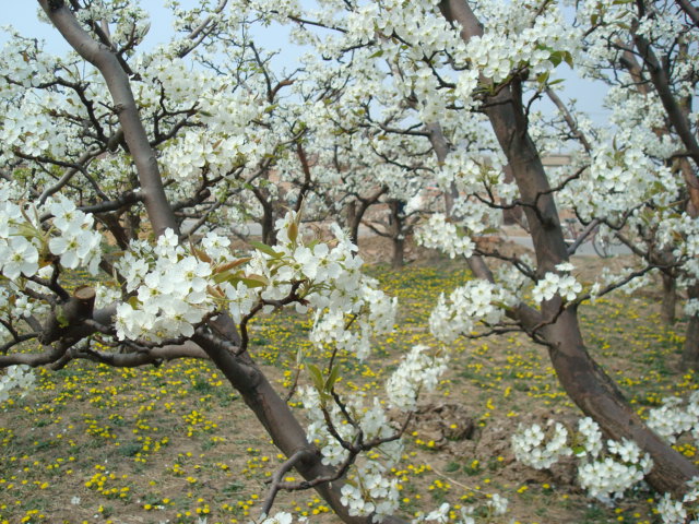 ����㻹������