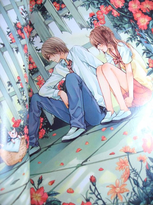 �����빫��������ʷ