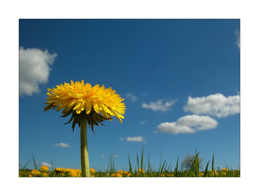 �ټ�,�ƶ��ϵ�����