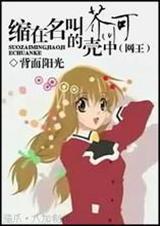 网王之缩在名叫芥川可的壳中封面