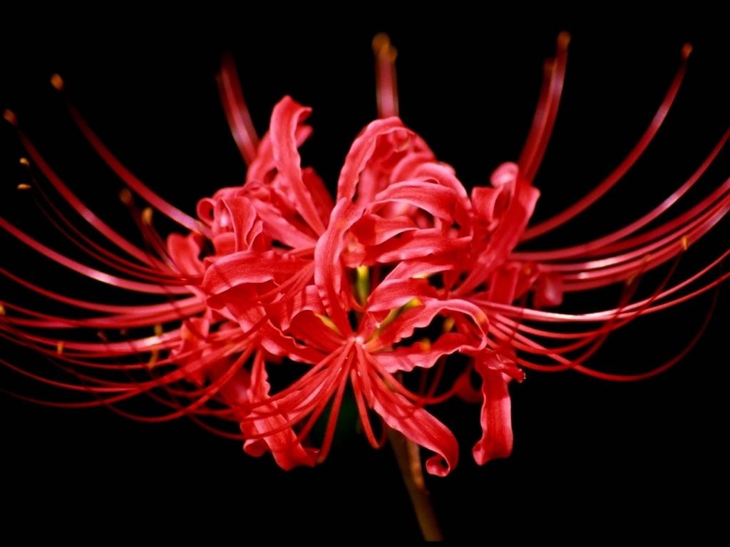 [����]�㲻�Ǵ���,��̫С��