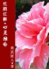 �ž����:�������