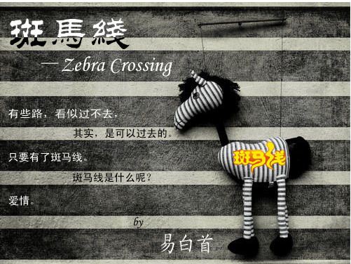 斑马线GL封面