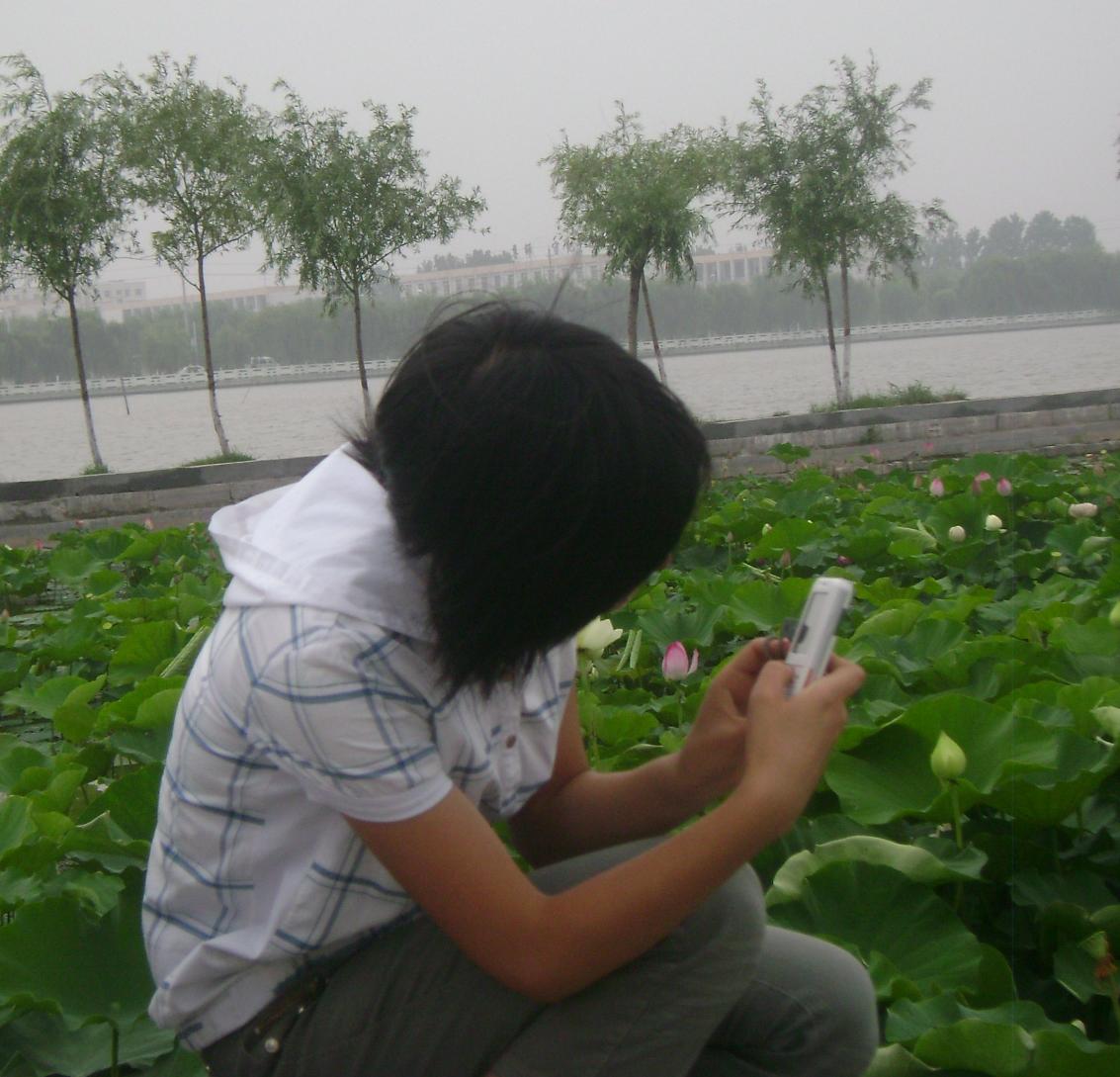 ������,�Բ���