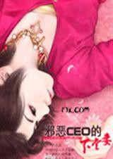 а��CEO��������(���)