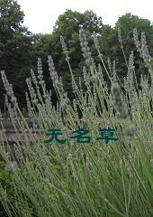 �����ݷ���