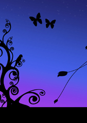 ��Ĭ������