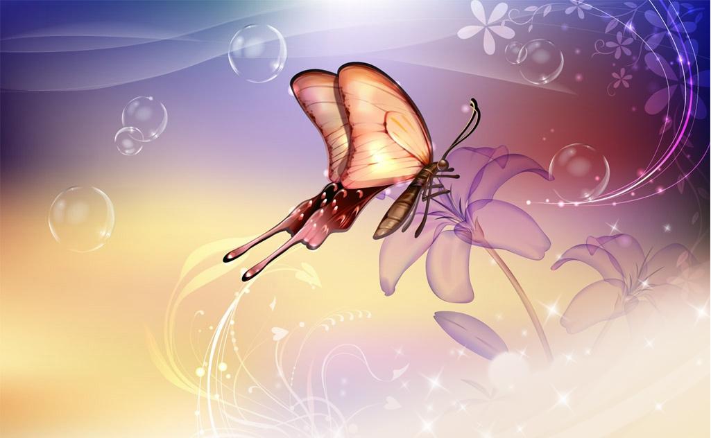 ���������֮��֬��