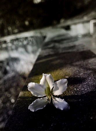 2006-2008:�ݸ��ഺ