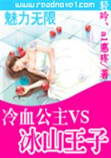 ��Ѫ����vs��ɽ����