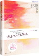 我在回忆里等你 辛夷坞封面