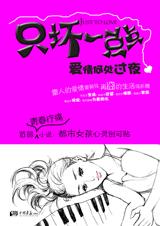 爱情何处过夜封面